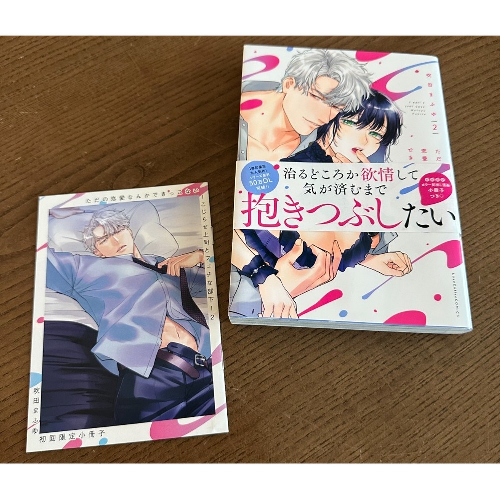 We Can't Do Just Plain Love Volume 2 Paperback Japanese Manga Mafuyu Fukita